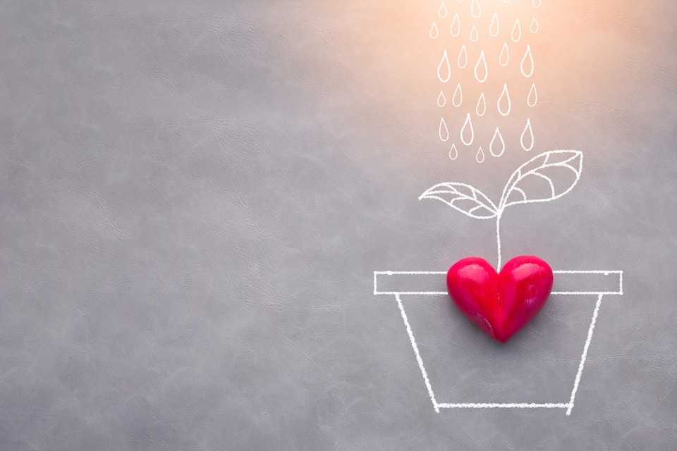 Article featured image showing a love drawing concept with rain falling on a plant vase with a red heart object on top.